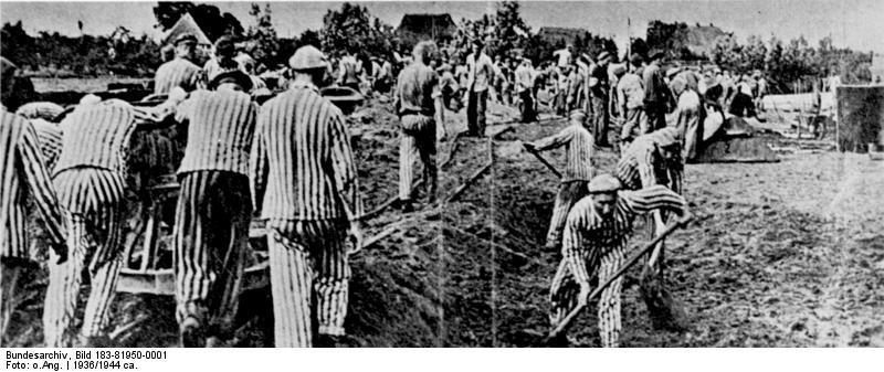 File:Bundesarchiv Bild 183-81950-0001, KZ Sachsenhausen, Häftlinge bei Erdarbeiten.jpg