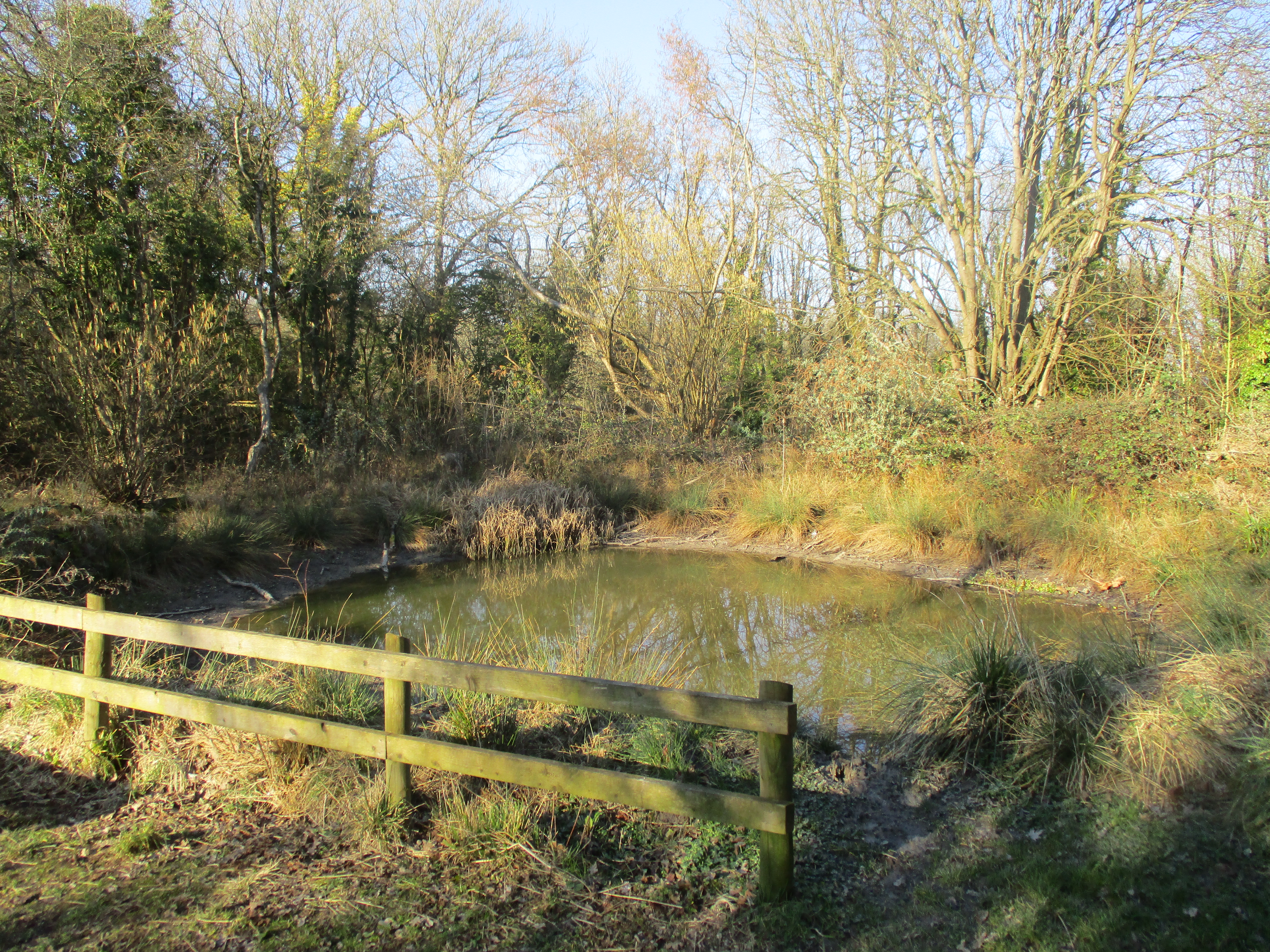 Buriton Chalk Pit