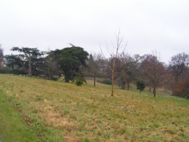 File:Calverley Park - geograph.org.uk - 121128.jpg