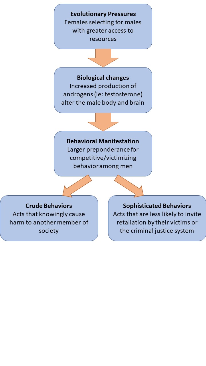 genetic theory holds that criminality producing traits are
