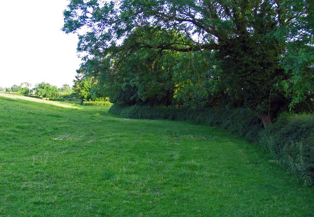 File:Edge of a field south of Laughton Lane - geograph.org.uk - 5018322.jpg