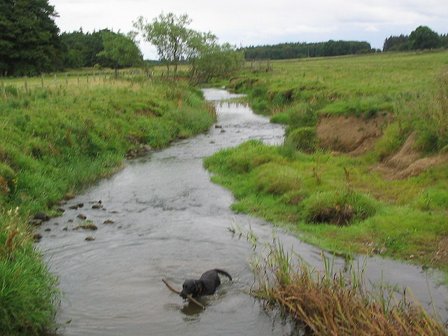 River Wansbeck