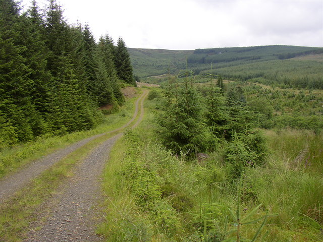 File:Forestry road at Archer Cleugh, Kielder. - geograph.org.uk - 501686.jpg