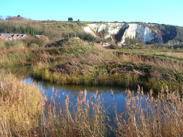 Heart of Reeds, Lewes Railway Nature Reserve - geograph.org.uk - 291632