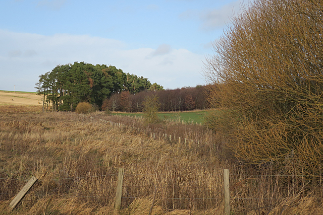 File:Lake Burn - geograph.org.uk - 5644178.jpg