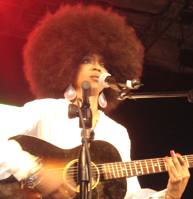 Gros peigne cheveux afro - Trésors Capillaires