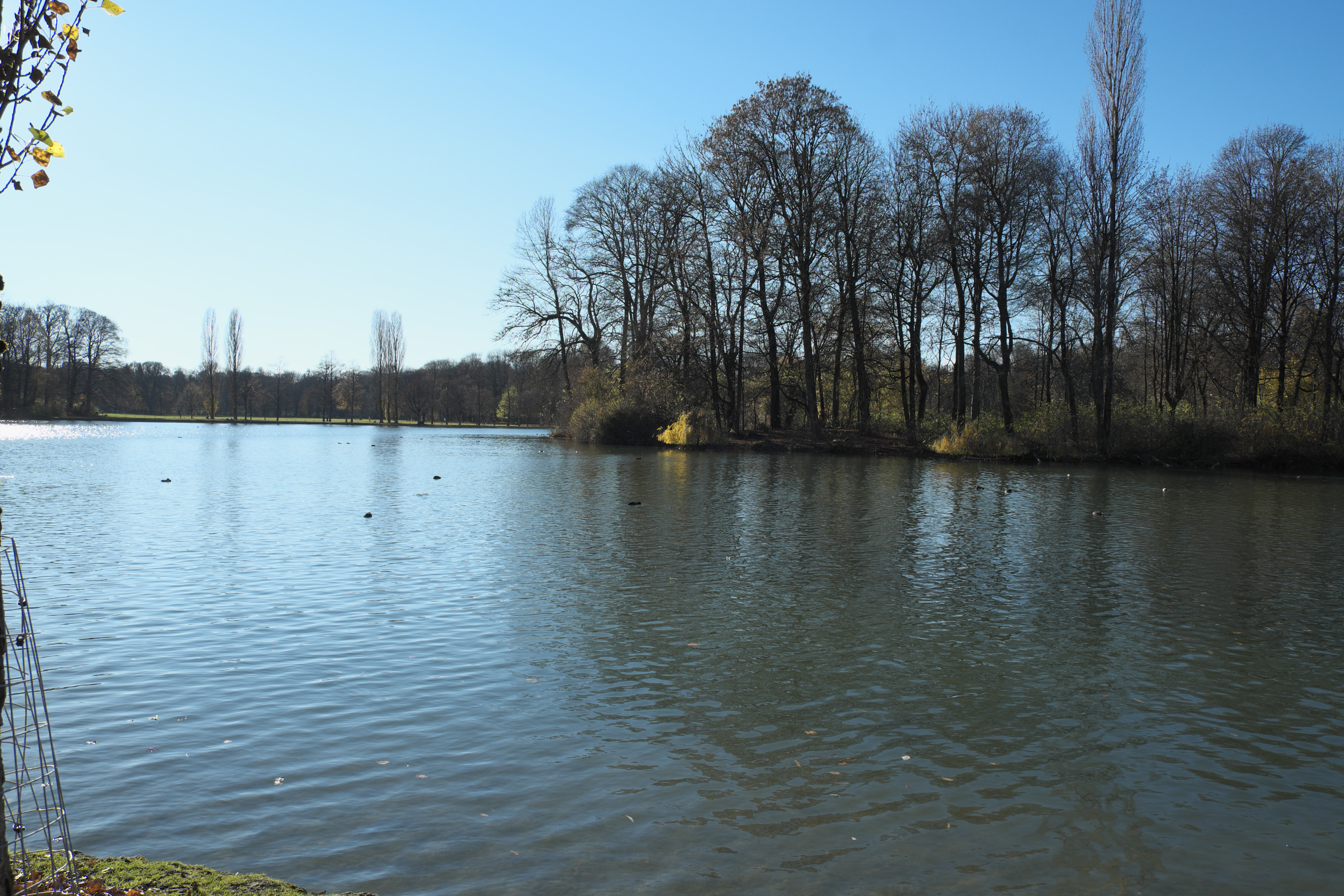 File Munchen Englischer Garten Kleinhesseloher See 445 Jpg