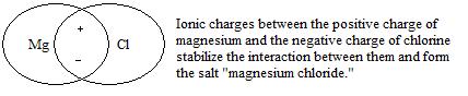 Magnesium Chloride.jpg