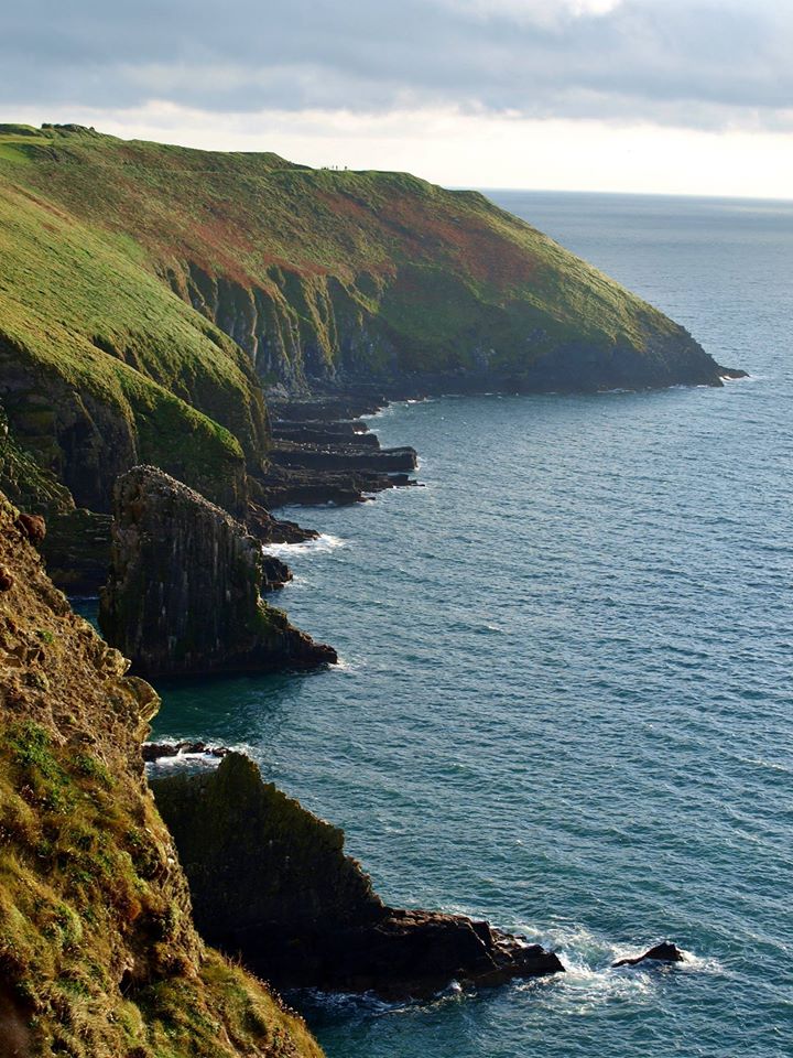 Old head. Мыс Кинсейл.