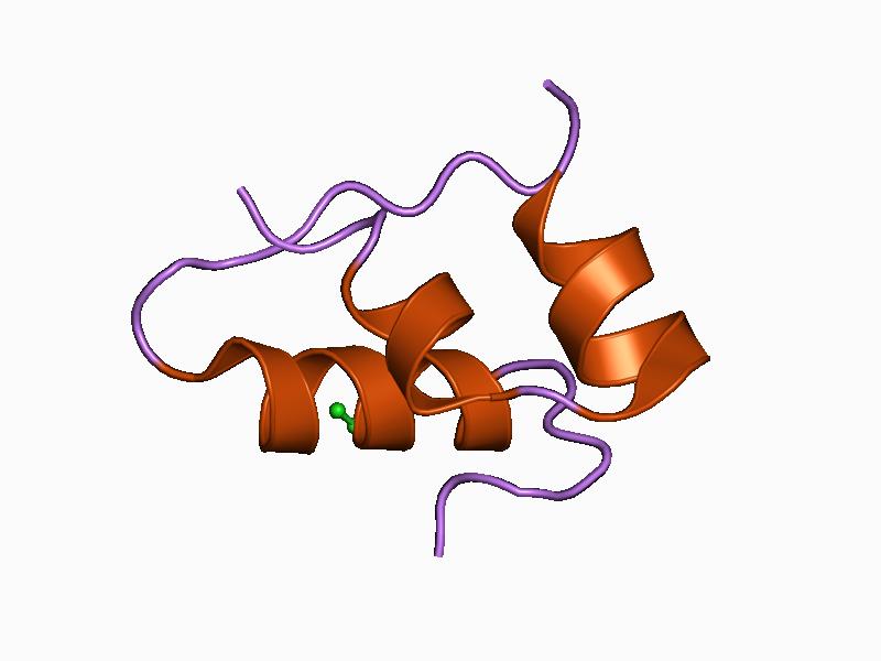 File:PDB 1bph EBI.jpg