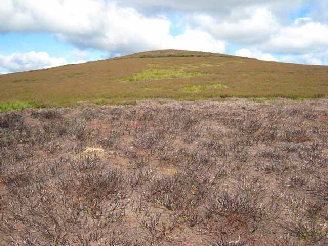 File:Pawlaw Pike - geograph.org.uk - 510890.jpg