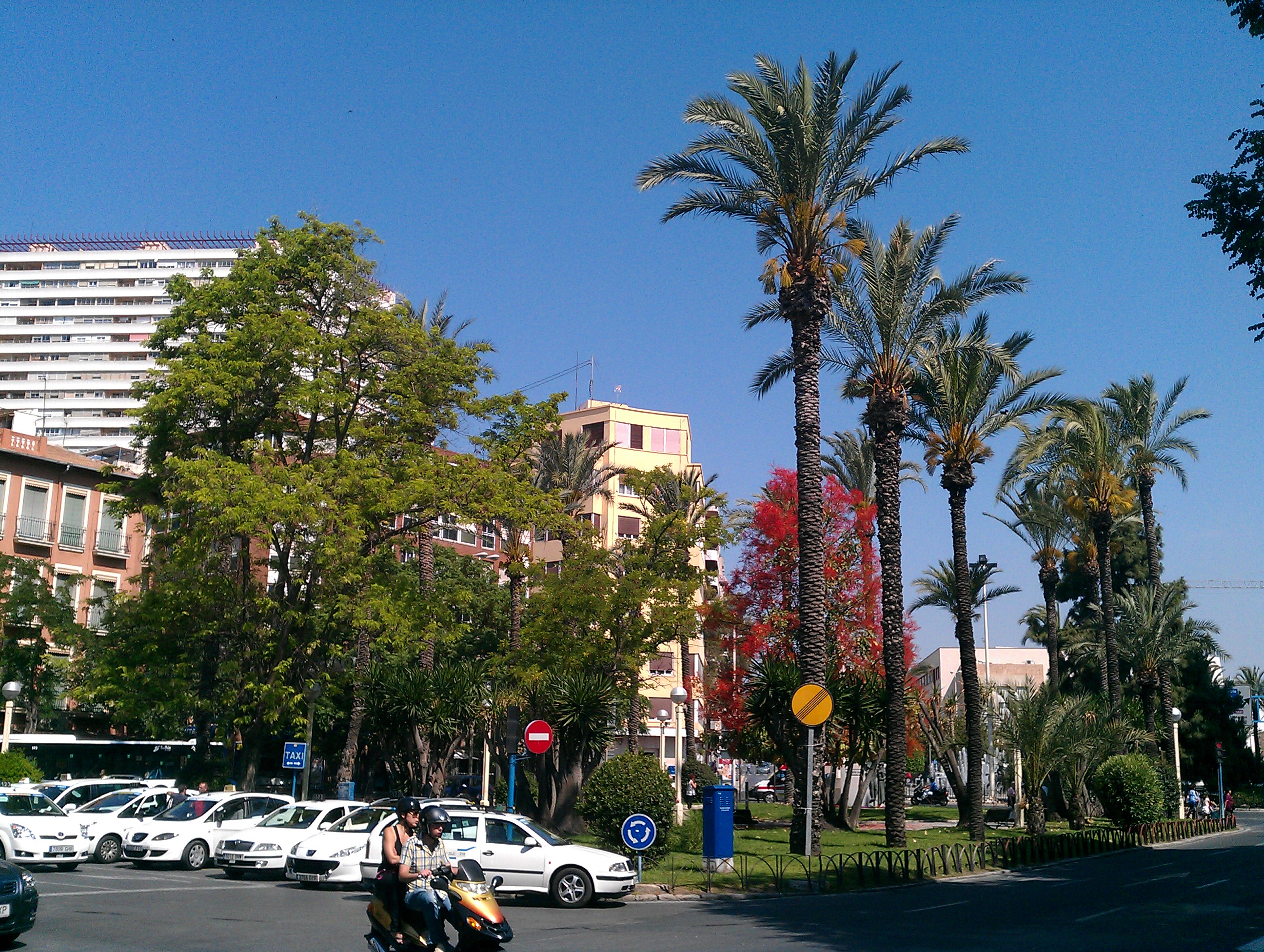 Green and Spacious Parks Of Alicante