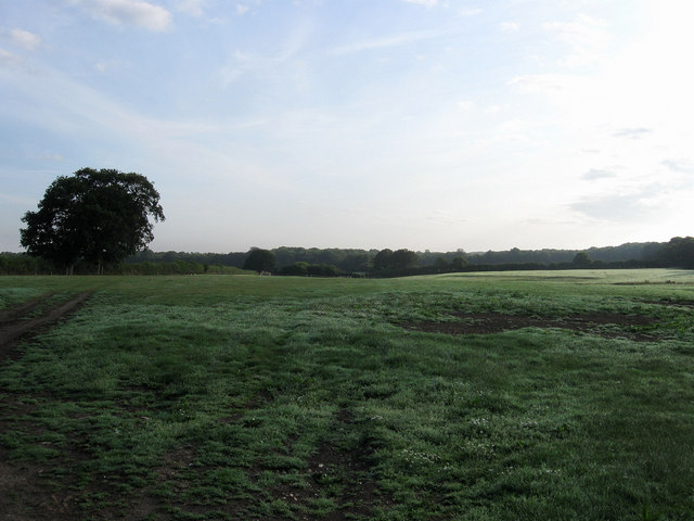 File:Pond Field East - geograph.org.uk - 1434381.jpg