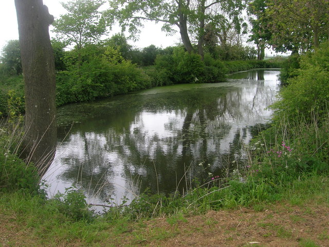 File:Pond near Billings Hill Farm - geograph.org.uk - 1308117.jpg