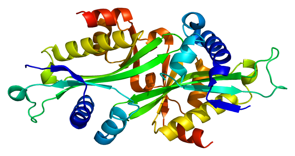 SAT1 (gene)