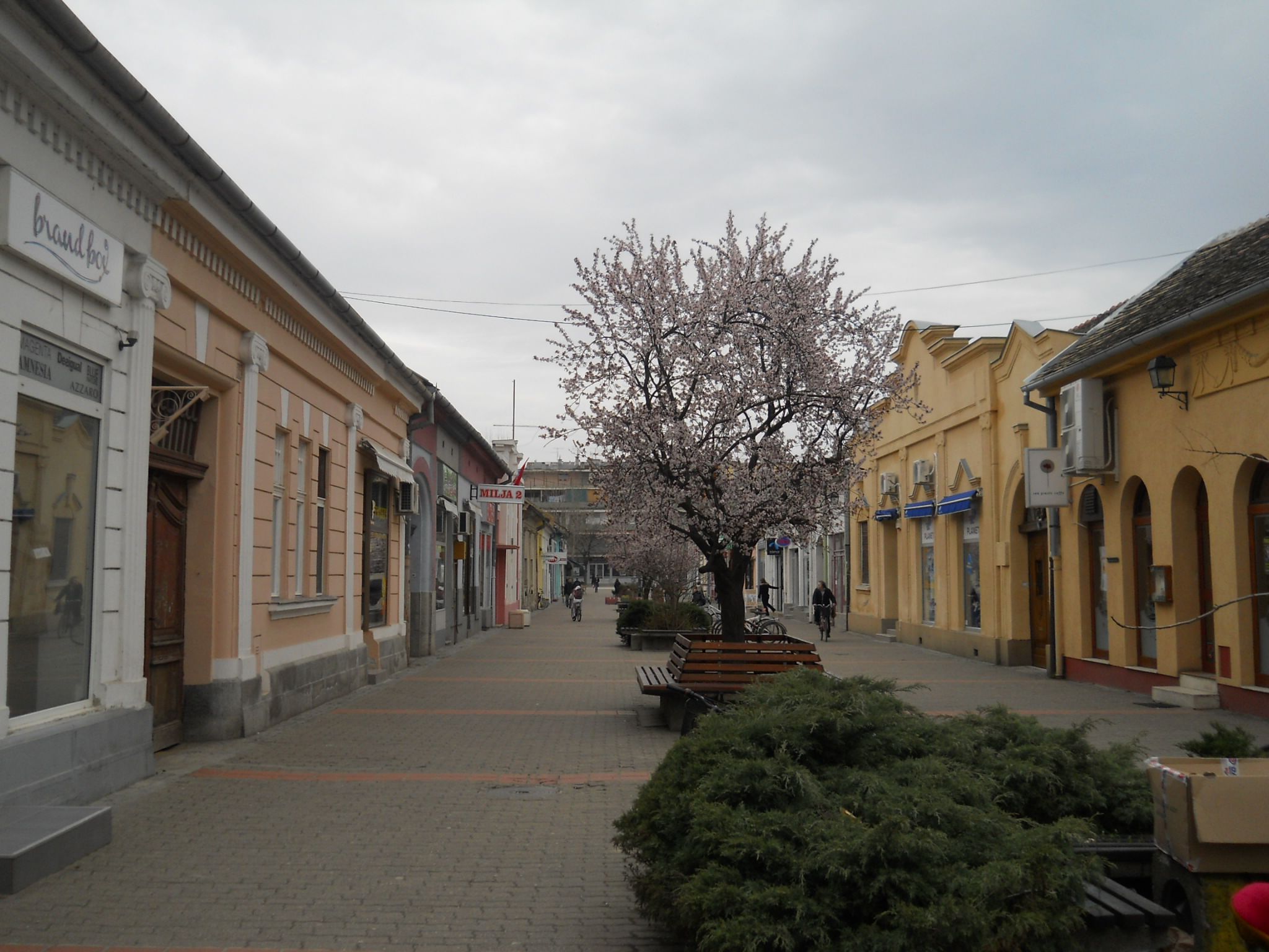 смедеревска паланка сербия