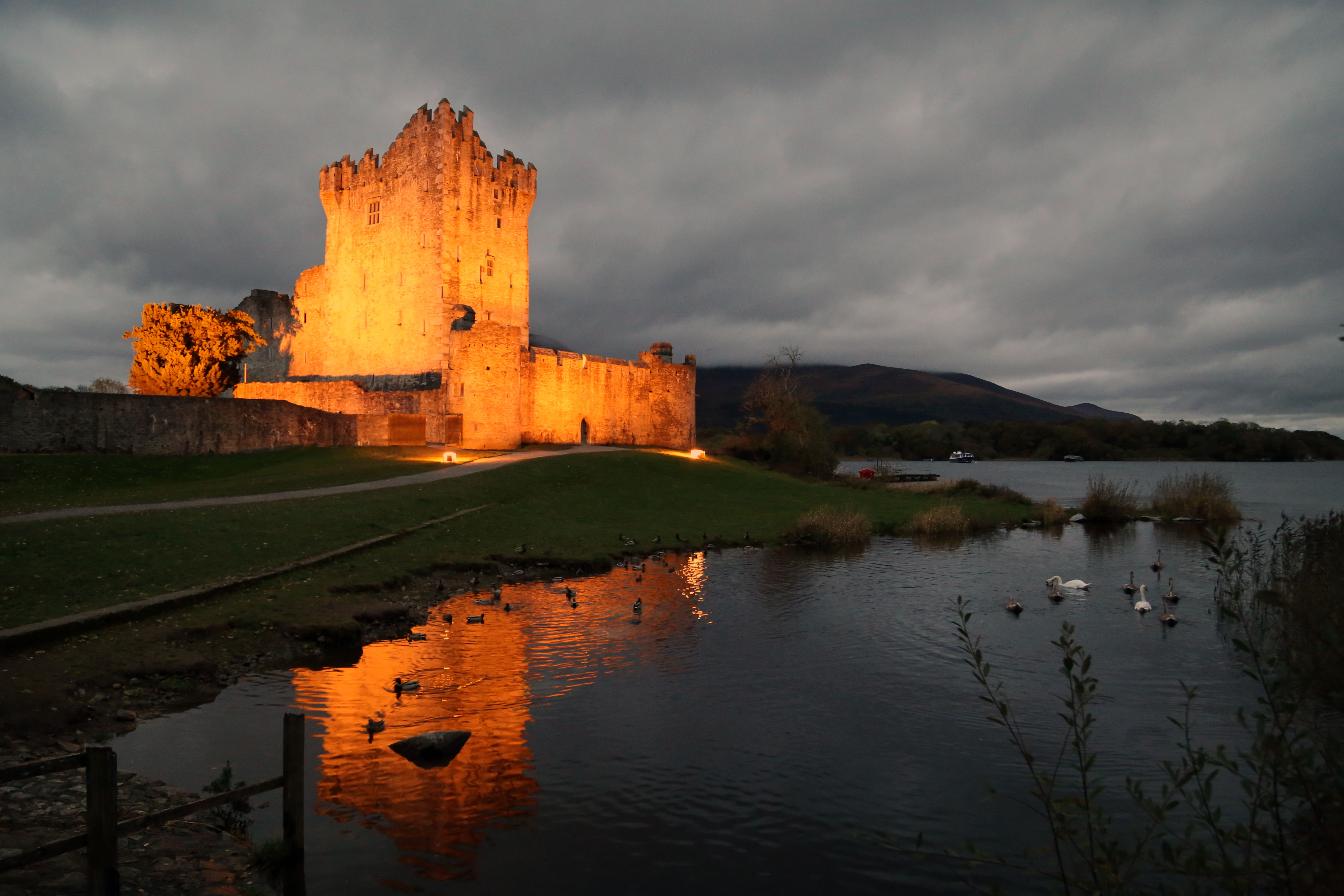 Видео castles. Замок Росс Ирландия. Killarney Castle. Замок Росс в графстве Керри. Крепости Ирланди.