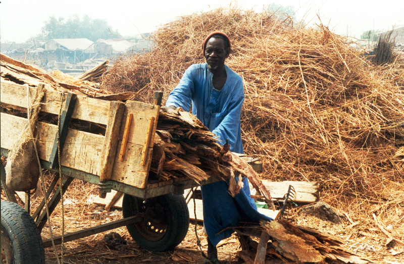 File:Senegal bois pour le fumage du poisson 800x600.jpg