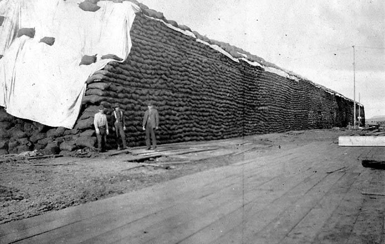 File:Three men standing next in the coal yard at the John J Sesnon Company, Nome, Alaska, circa 1905 (AL+CA 6857).jpg