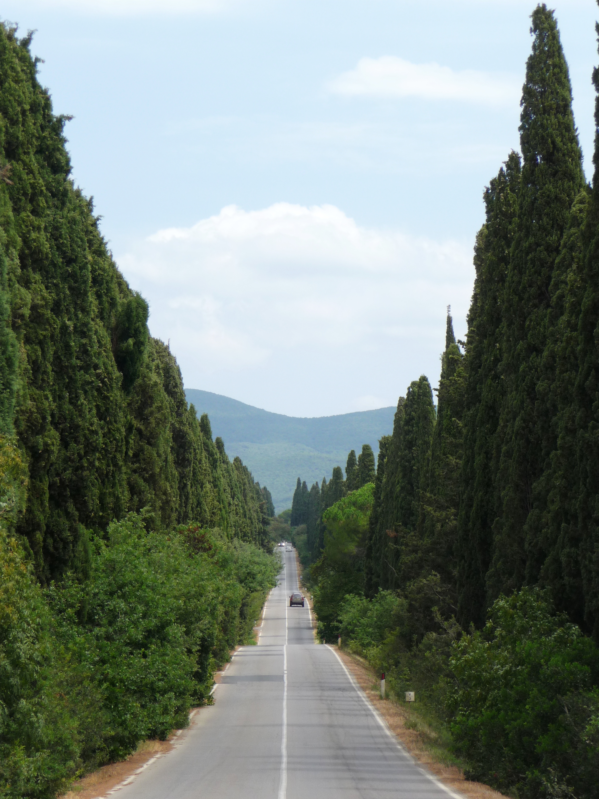 Viale dei Cipressi, Bolgheri, Castagneto Carducci.JPG