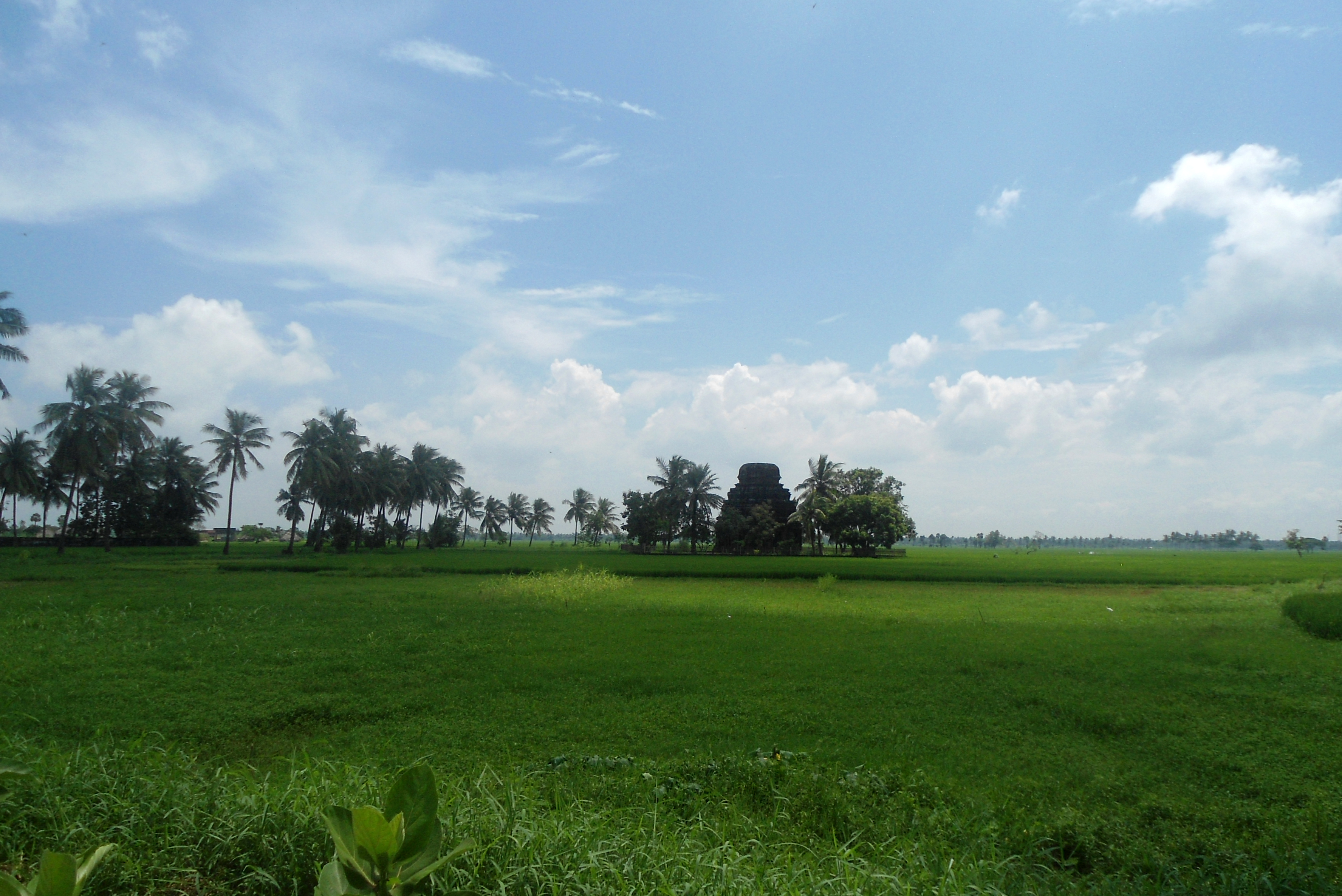 western coastal plains