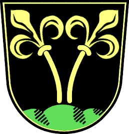 File:Wappen Traunstein.png