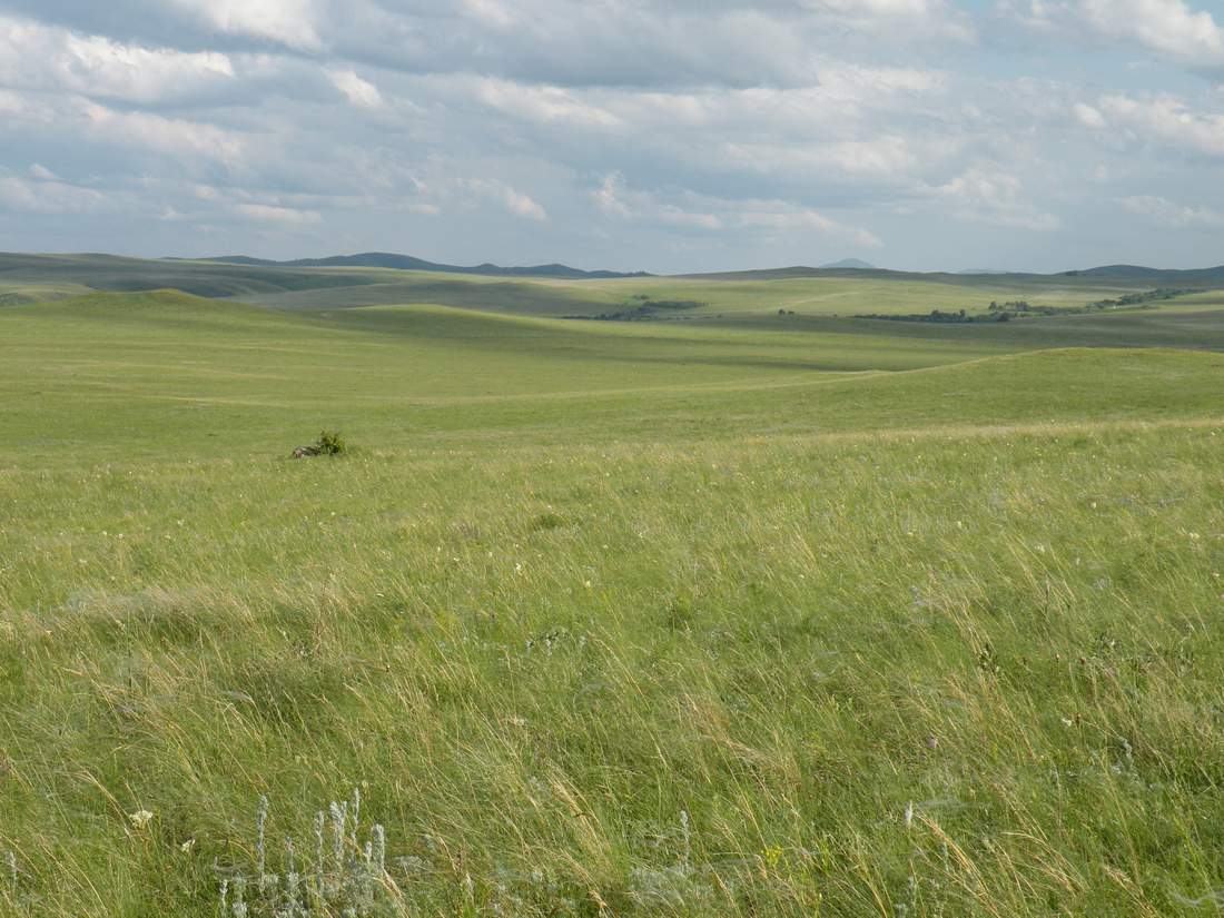 Фото Степь рисунок, более 70 качественных бесплатных стоковых фото