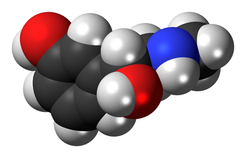 File:(R)-Phenylephrine molecule spacefill.png