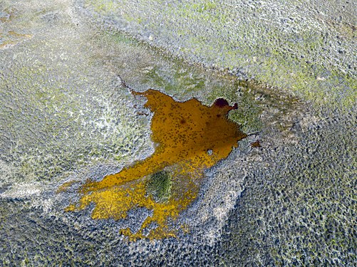 Aerial view of a salt lake in Lemnos. Photograph: Athanasios lampridis