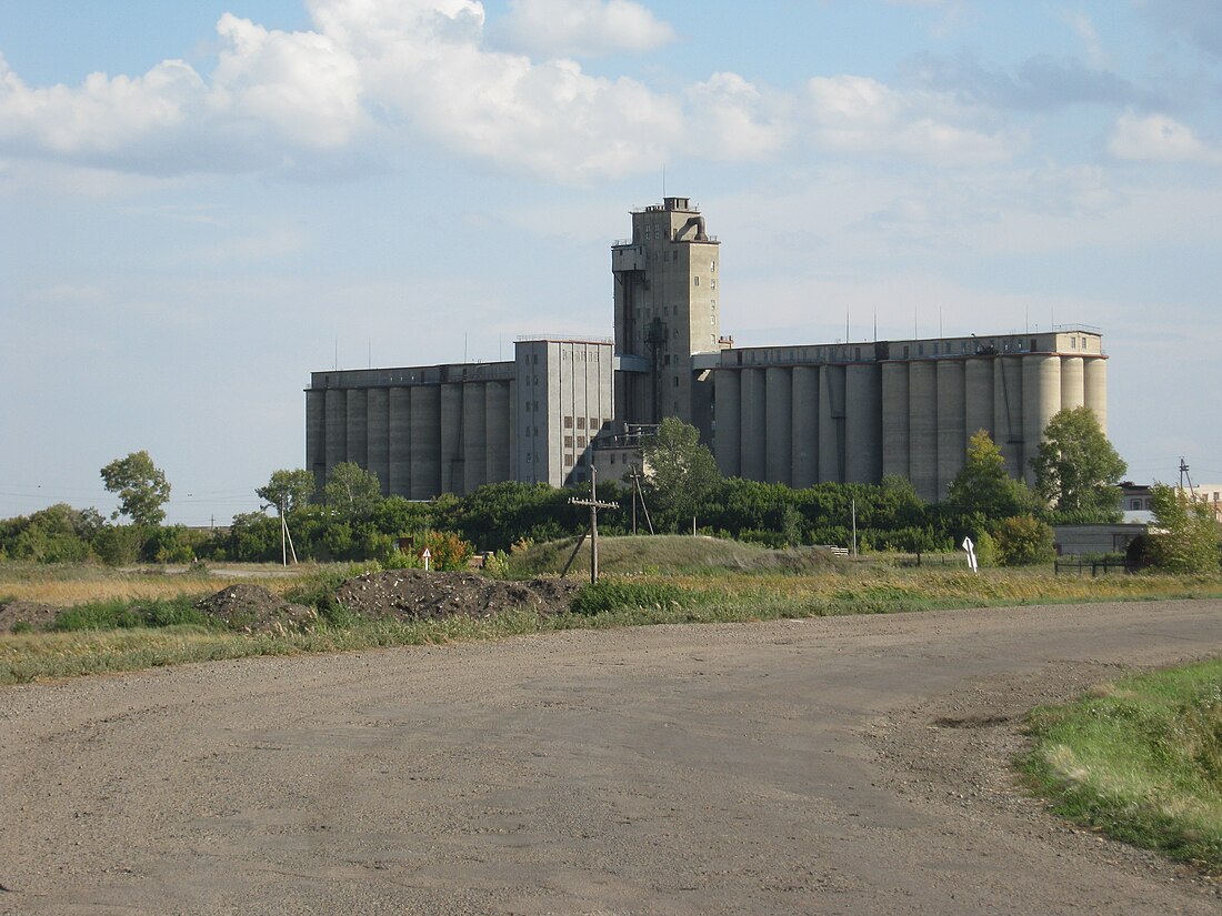 Mamontovsky District