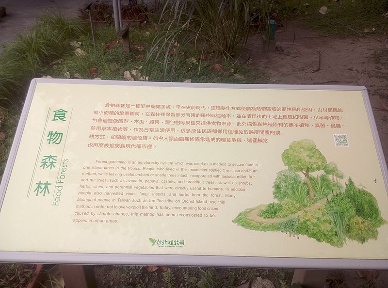 File:植物園中的植物及樹木花草(包括歷史遺跡)-14.jpg