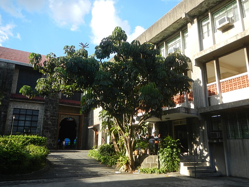 File:01004jfAquinas School F. Blumentritt Kabayanan Tibagan Church Acacia Tree San Juan Cityfvf 22.jpg