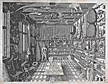 "Musei Wormiani Historia", the frontispiece from the Museum Wormianum depicting Ole Worm's cabinet of curiosities 1655 - Frontispiece of Museum Wormiani Historia.jpg