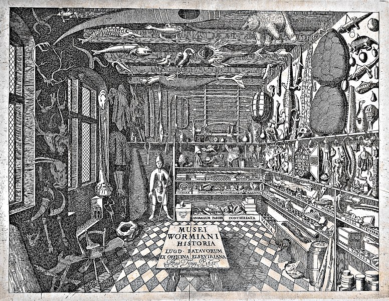 File:1655 - Frontispiece of Museum Wormiani Historia.jpg