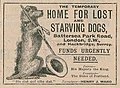 1901 advert for battersea dogs home.jpg