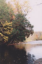 Thumbnail for Noire River (Sainte-Anne River tributary)