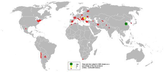 A map of world plum and sloe production, 2005 2005plums and sloes.PNG
