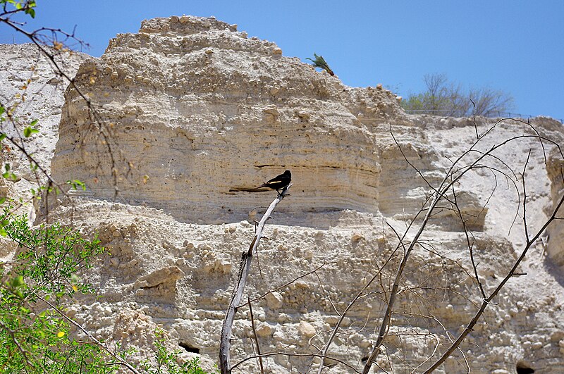 File:2010-06-18 09-44-56 Israel Ejn Gedi JH (52783530720).jpg