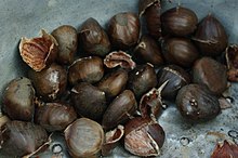 20110424 marrons-chauds.jpg