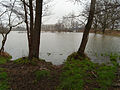 * Nomination Flood of Bourbeuse river, in France. --ComputerHotline 14:28, 25 January 2012 (UTC) * Promotion Good quality. --Ralf Roletschek 20:21, 30 January 2012 (UTC)