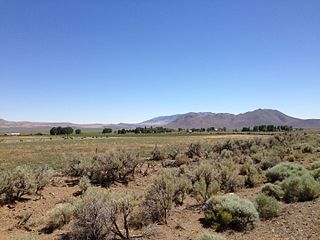 <span class="mw-page-title-main">Denio, Nevada</span> Unincorporated community in the state of Oregon, United States