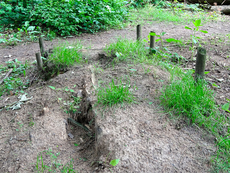 File:20140520 Heuvelmeubel door Tim van der Burg en Lisette Spee Voorsterbos.jpg