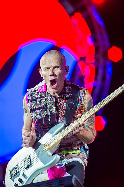 File:2016 RiP Red Hot Chili Peppers - Michael Flea Balzary - by 2eight - DSC0108.jpg