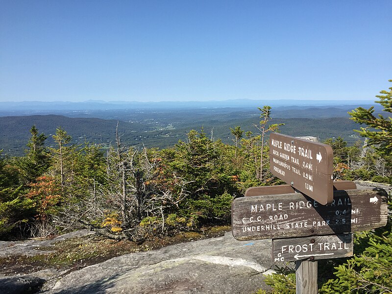 File:2017-09-11 10 30 17 View west along the Maple Ridge Trail at the junction with the Frost Trail on the western slopes of Mount Mansfield within Mount Mansfield State Forest in Underhill, Chittenden County, Vermont.jpg