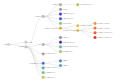 Nextstrain, juillet 2022, relations entre les clades. Les noms attribués par l'OMS, les lignées Pango sont indiqués.