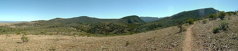 View (looking north) along the Daveys Gully walking trail