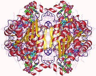 <span class="mw-page-title-main">Acetoacetyl-CoA reductase</span> InterPro Family