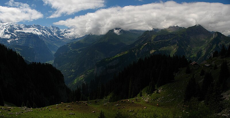 File:5651-5652 - Schynige Platte - View of Jungfrau and Lauterbrunnental.jpg