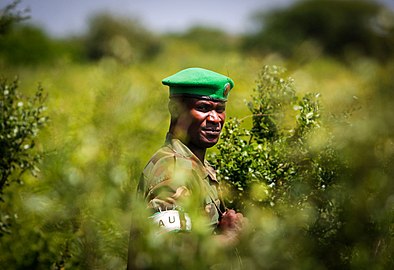 Soldat ougandais dans un champ près de Jowhar en 2010.