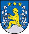 Wappen von Kindberg